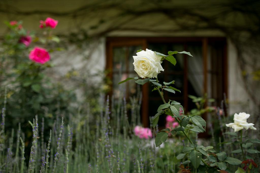 Grace Guest House Joanesburgo Exterior foto