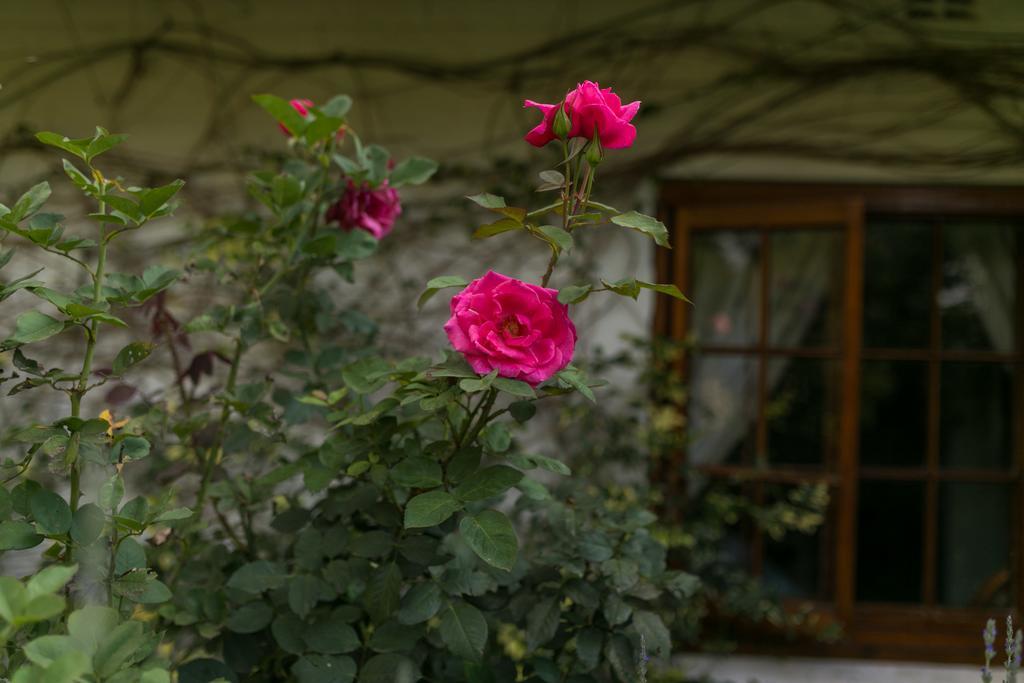 Grace Guest House Joanesburgo Exterior foto